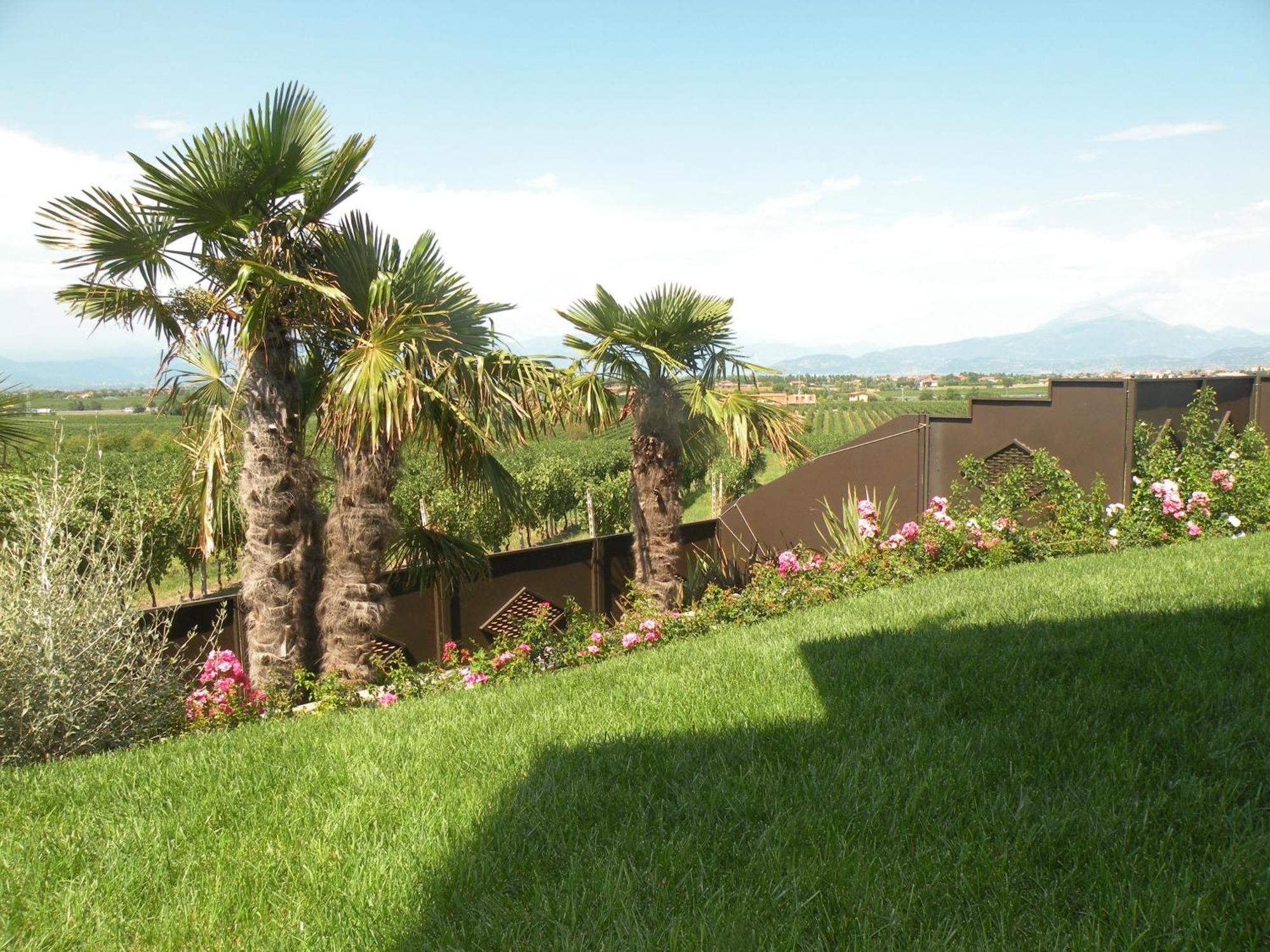 Sweet Life Bed and Breakfast Πεσκιέρα ντελ Γκάρντα Εξωτερικό φωτογραφία
